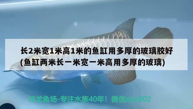 長(zhǎng)2米寬1米高1米的魚缸用多厚的玻璃膠好(魚缸兩米長(zhǎng)一米寬一米高用多厚的玻璃)