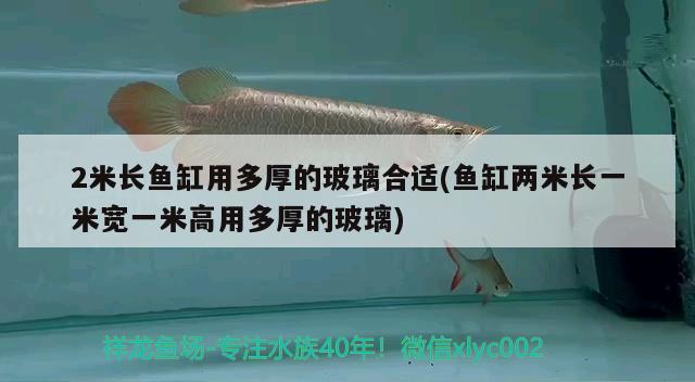 2米長(zhǎng)魚(yú)缸用多厚的玻璃合適(魚(yú)缸兩米長(zhǎng)一米寬一米高用多厚的玻璃)