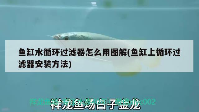 魚缸水循環(huán)過濾器怎么用圖解(魚缸上循環(huán)過濾器安裝方法)