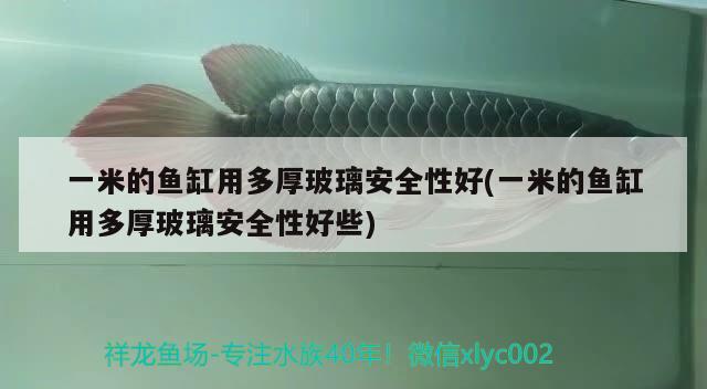 一米的魚(yú)缸用多厚玻璃安全性好(一米的魚(yú)缸用多厚玻璃安全性好些)