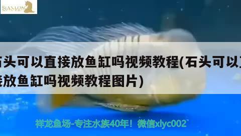 石頭可以直接放魚缸嗎視頻教程(石頭可以直接放魚缸嗎視頻教程圖片) 水族燈（魚缸燈）