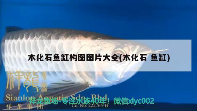 木化石魚(yú)缸構(gòu)圖圖片大全(木化石魚(yú)缸) 觀賞龜/鱉飼料