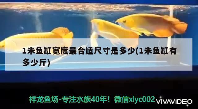 1米魚缸寬度最合適尺寸是多少(1米魚缸有多少斤)