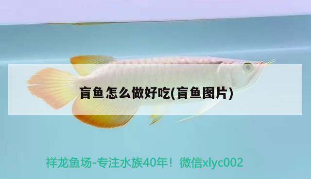 盲魚怎么做好吃(盲魚圖片)