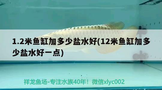 1.2米魚(yú)缸加多少鹽水好(12米魚(yú)缸加多少鹽水好一點(diǎn))