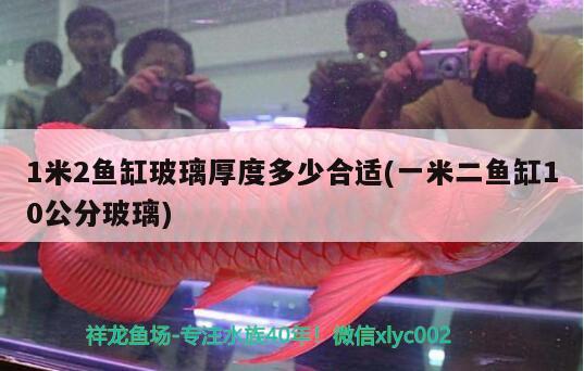 1米2魚缸玻璃厚度多少合適(一米二魚缸10公分玻璃)