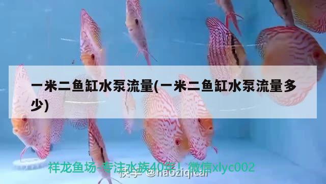 一米二魚缸水泵流量(一米二魚缸水泵流量多少)