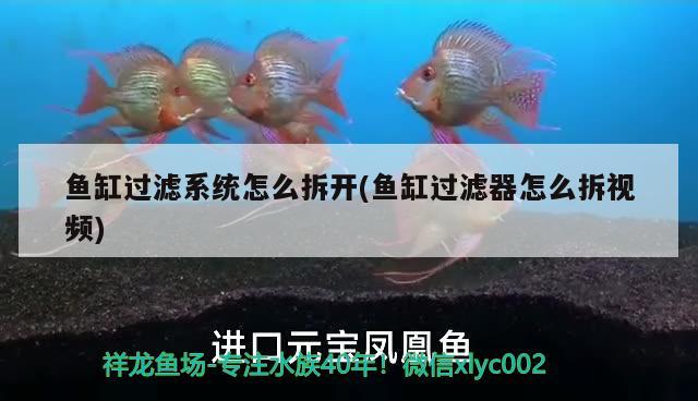 魚缸過濾系統(tǒng)怎么拆開(魚缸過濾器怎么拆視頻)