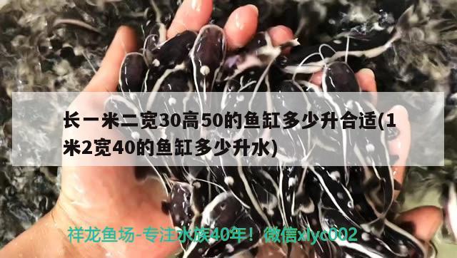 長一米二寬30高50的魚缸多少升合適(1米2寬40的魚缸多少升水)