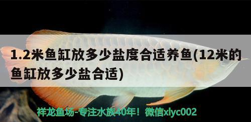 1.2米魚缸放多少鹽度合適養(yǎng)魚(12米的魚缸放多少鹽合適)