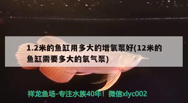 1.2米的魚(yú)缸用多大的增氧泵好(12米的魚(yú)缸需要多大的氧氣泵) 觀賞魚(yú)市場(chǎng)