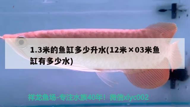 1.3米的魚缸多少升水(12米×03米魚缸有多少水)