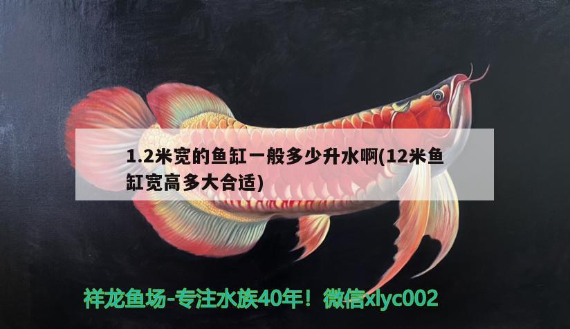 1.2米寬的魚缸一般多少升水啊(12米魚缸寬高多大合適)