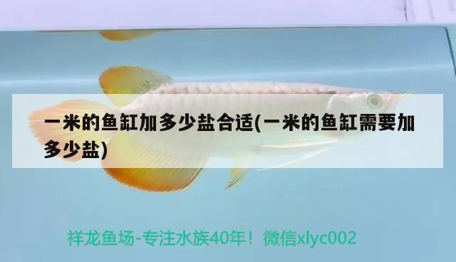 一米的魚缸加多少鹽合適(一米的魚缸需要加多少鹽)