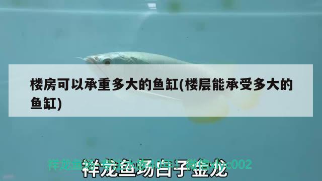 樓房可以承重多大的魚缸(樓層能承受多大的魚缸) 觀賞蝦蟹等飼料