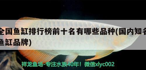 全國魚缸排行榜前十名有哪些品種(國內(nèi)知名魚缸品牌)