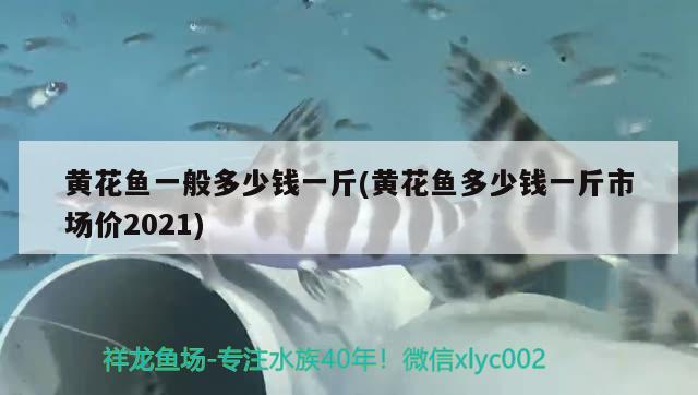 黃花魚一般多少錢一斤(黃花魚多少錢一斤市場價2021) 觀賞魚 第1張