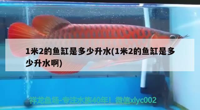 1米2的魚缸是多少升水(1米2的魚缸是多少升水啊)