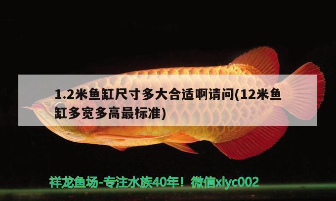 1.2米魚缸尺寸多大合適啊請(qǐng)問(12米魚缸多寬多高最標(biāo)準(zhǔn)) 廣州觀賞魚批發(fā)市場(chǎng)