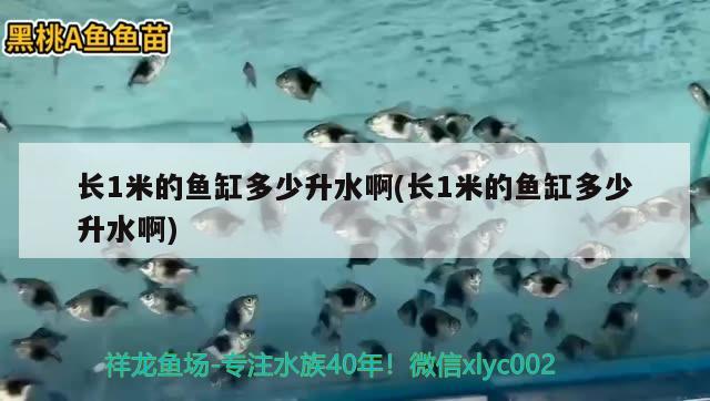 長1米的魚缸多少升水啊(長1米的魚缸多少升水啊) 金龍魚糧 第1張