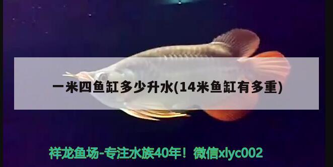 一米四魚缸多少升水(14米魚缸有多重)