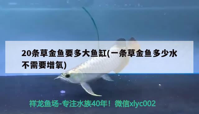 20條草金魚要多大魚缸(一條草金魚多少水不需要增氧)