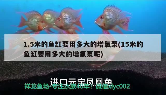 1.5米的魚缸要用多大的增氧泵(15米的魚缸要用多大的增氧泵呢) 戰(zhàn)車紅龍魚