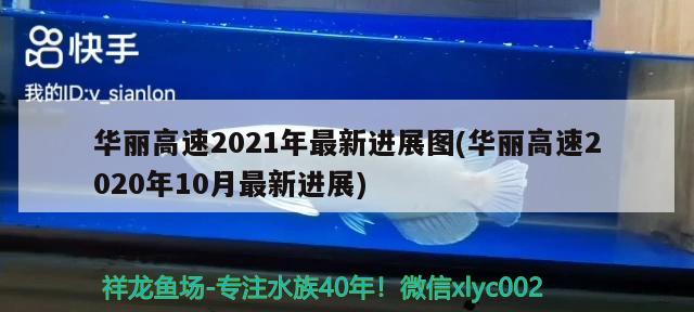 華麗高速2021年最新進展圖(華麗高速2020年10月最新進展)