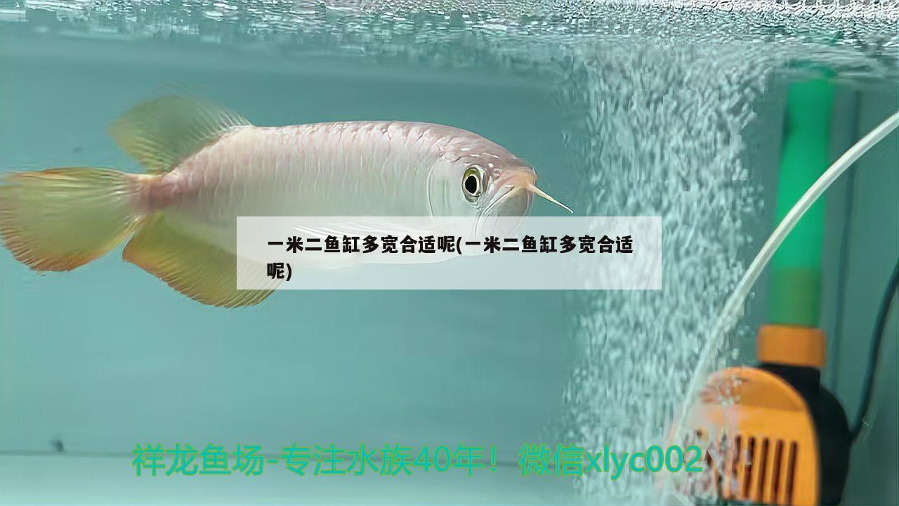 一米二魚(yú)缸多寬合適呢(一米二魚(yú)缸多寬合適呢) 申古三間魚(yú)