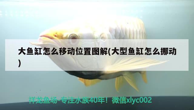 大魚缸怎么移動位置圖解(大型魚缸怎么挪動)