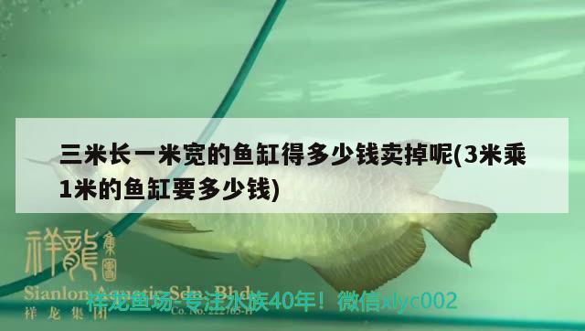 三米長一米寬的魚缸得多少錢賣掉呢(3米乘1米的魚缸要多少錢) 其它水族用具設備