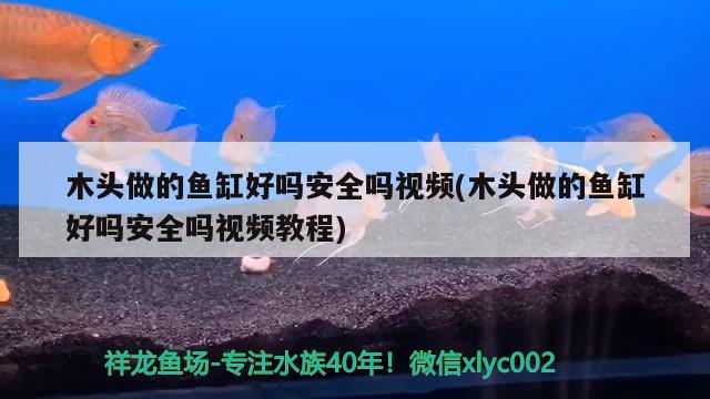 木頭做的魚缸好嗎安全嗎視頻(木頭做的魚缸好嗎安全嗎視頻教程) 古典過背金龍魚