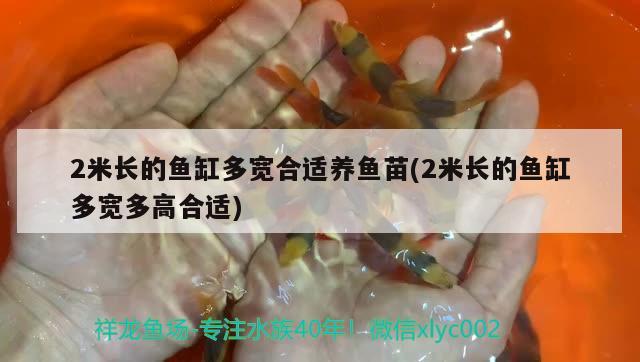 2米長的魚缸多寬合適養(yǎng)魚苗(2米長的魚缸多寬多高合適)