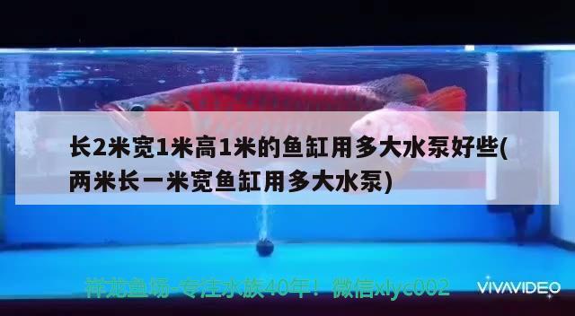 長(zhǎng)2米寬1米高1米的魚缸用多大水泵好些(兩米長(zhǎng)一米寬魚缸用多大水泵) 大白鯊魚苗