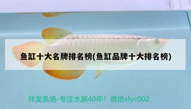 魚缸十大名牌排名榜(魚缸品牌十大排名榜)