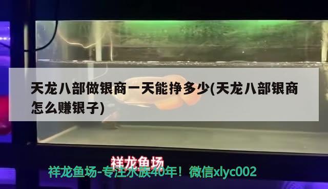 天龍八部做銀商一天能掙多少(天龍八部銀商怎么賺銀子) 觀賞魚