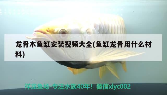 龍骨木魚缸安裝視頻大全(魚缸龍骨用什么材料)