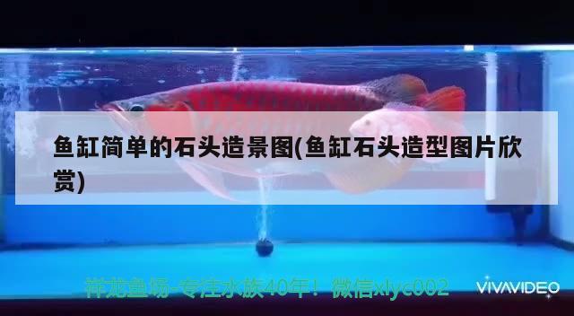 魚缸簡單的石頭造景圖(魚缸石頭造型圖片欣賞) 水族用品