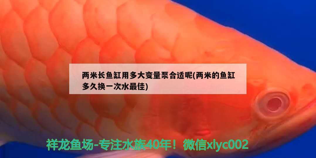 兩米長魚缸用多大變量泵合適呢(兩米的魚缸多久換一次水最佳)