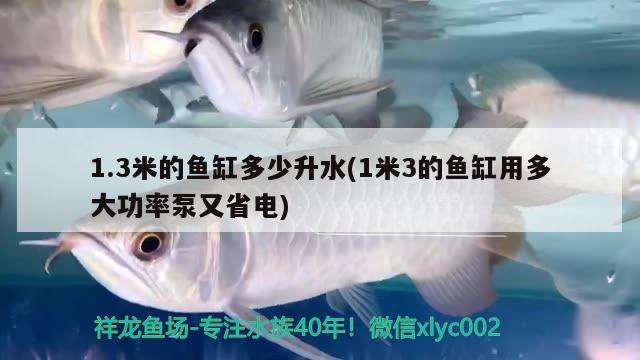 1.3米的魚(yú)缸多少升水(1米3的魚(yú)缸用多大功率泵又省電) 白寫(xiě)錦鯉魚(yú)