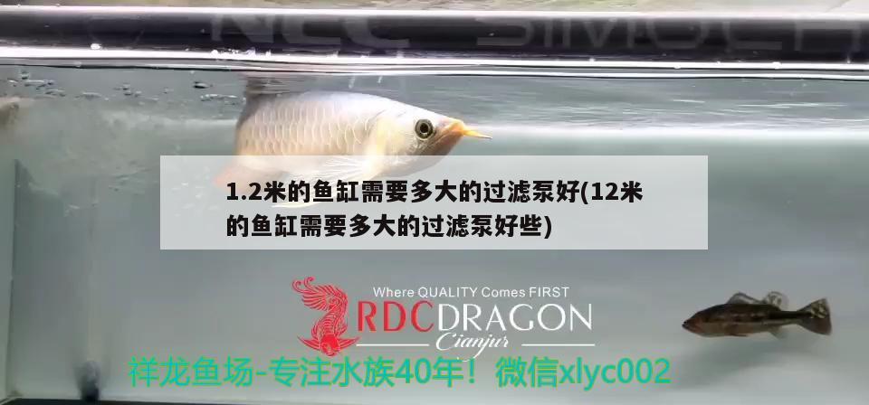 1.2米的魚缸需要多大的過濾泵好(12米的魚缸需要多大的過濾泵好些) 蝴蝶鯉魚苗