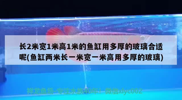 長2米寬1米高1米的魚缸用多厚的玻璃合適呢(魚缸兩米長一米寬一米高用多厚的玻璃) 黑帝王魟魚