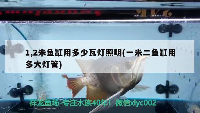 1,2米魚缸用多少瓦燈照明(一米二魚缸用多大燈管)