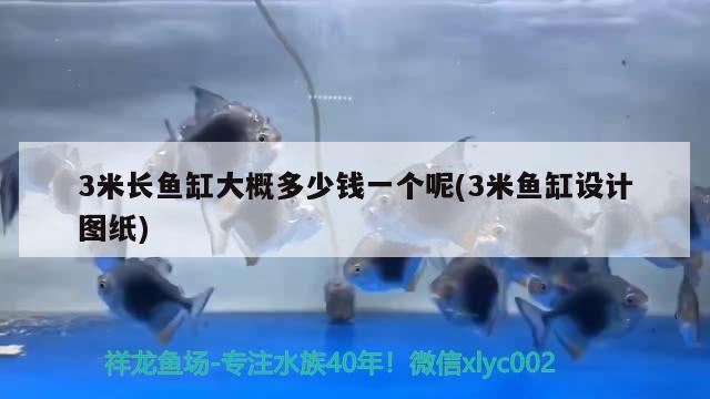 3米長魚缸大概多少錢一個(gè)呢(3米魚缸設(shè)計(jì)圖紙)