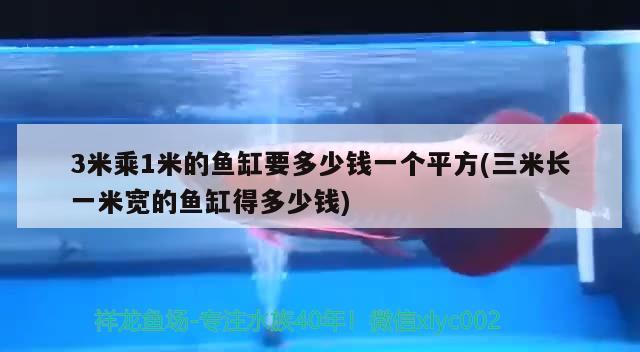 3米乘1米的魚缸要多少錢一個平方(三米長一米寬的魚缸得多少錢) 印尼虎苗