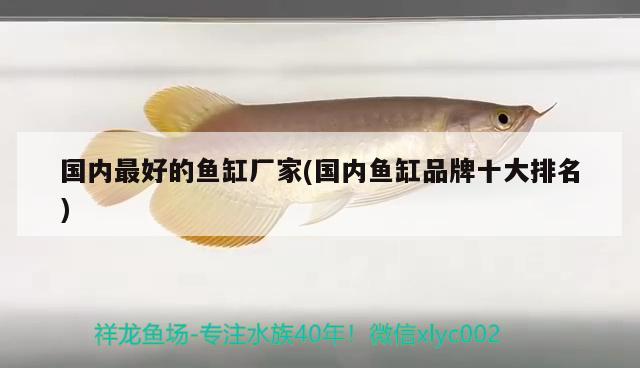 國內(nèi)最好的魚缸廠家(國內(nèi)魚缸品牌十大排名)