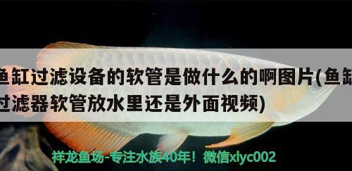 魚(yú)缸過(guò)濾設(shè)備的軟管是做什么的啊圖片(魚(yú)缸過(guò)濾器軟管放水里還是外面視頻) 過(guò)濾設(shè)備