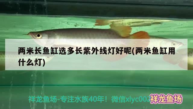 兩米長魚缸選多長紫外線燈好呢(兩米魚缸用什么燈)