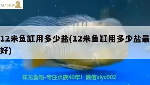 12米魚缸用多少鹽(12米魚缸用多少鹽最好)