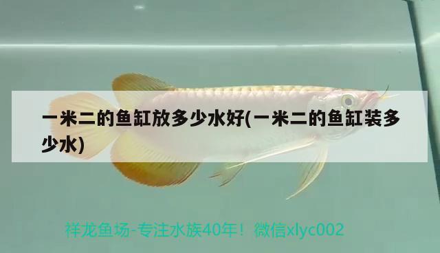 一米二的魚缸放多少水好(一米二的魚缸裝多少水) 水溫計(jì)